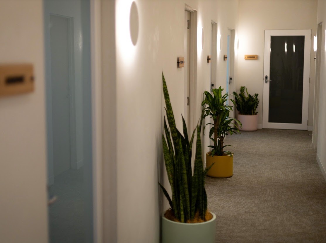 A softly lit hallway with plants outside the Hawthorn Hub consulting rooms